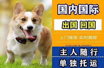 昌都地区宠物托运公司昌都地区宠物托运公司昌都地区宠物托运公司