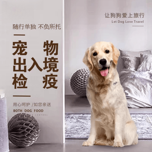 昌都地区宠物托运到哥伦比亚猫狗宠物入境规定和