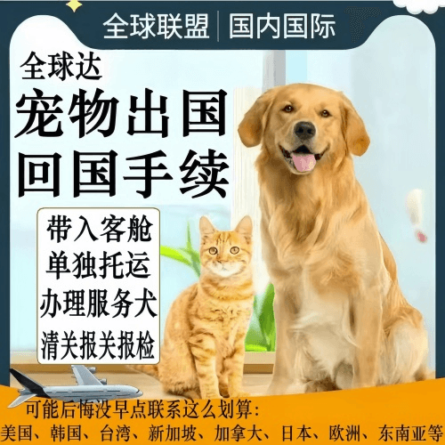 昌都地区宠物托运到柬埔寨宠物入境规定和要求