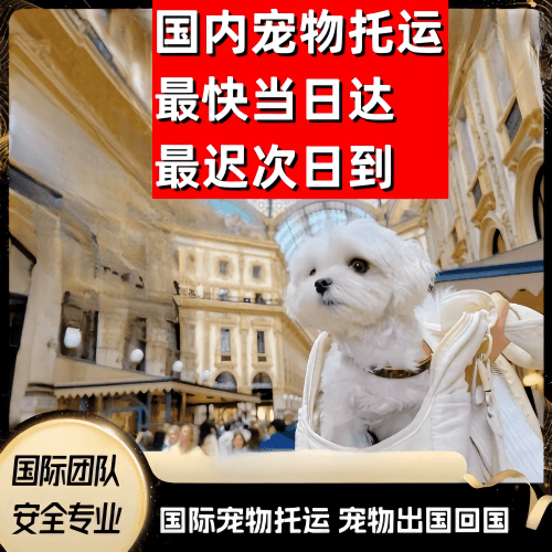 昌都地区到澳大利亚（澳洲）宠物入境规定和要求
