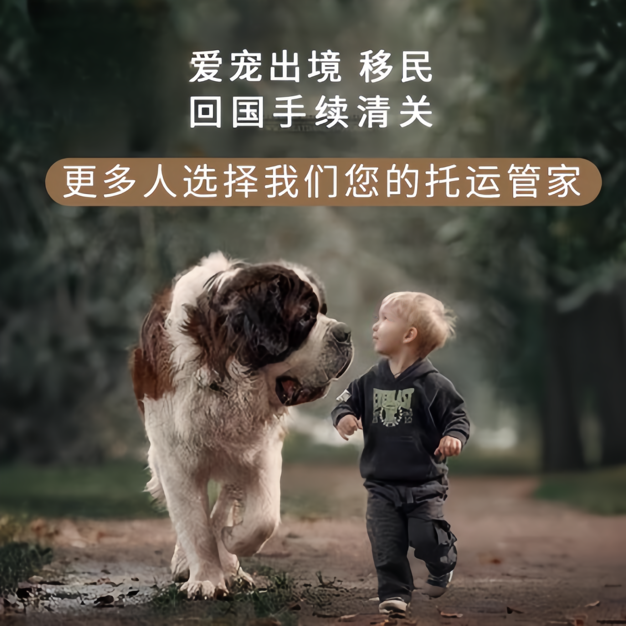 满财昌都地区宠物全球达宠物托运在遵守入境目的地政策的条件