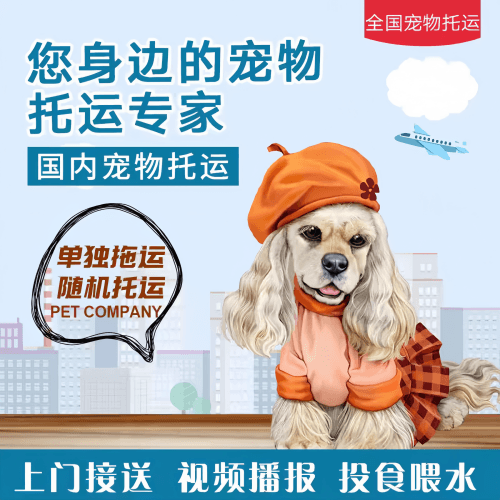 满财昌都地区宠物全球达宠物托运作为专业的宠物运输代理机构
